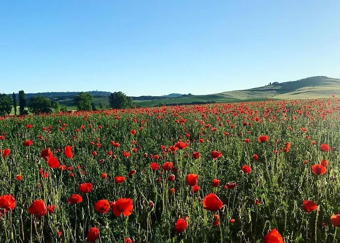 Alloggio per agriturismo Poggio Tobruk *